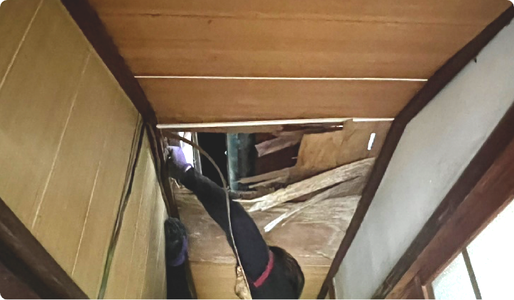 雨漏りの種類・原因