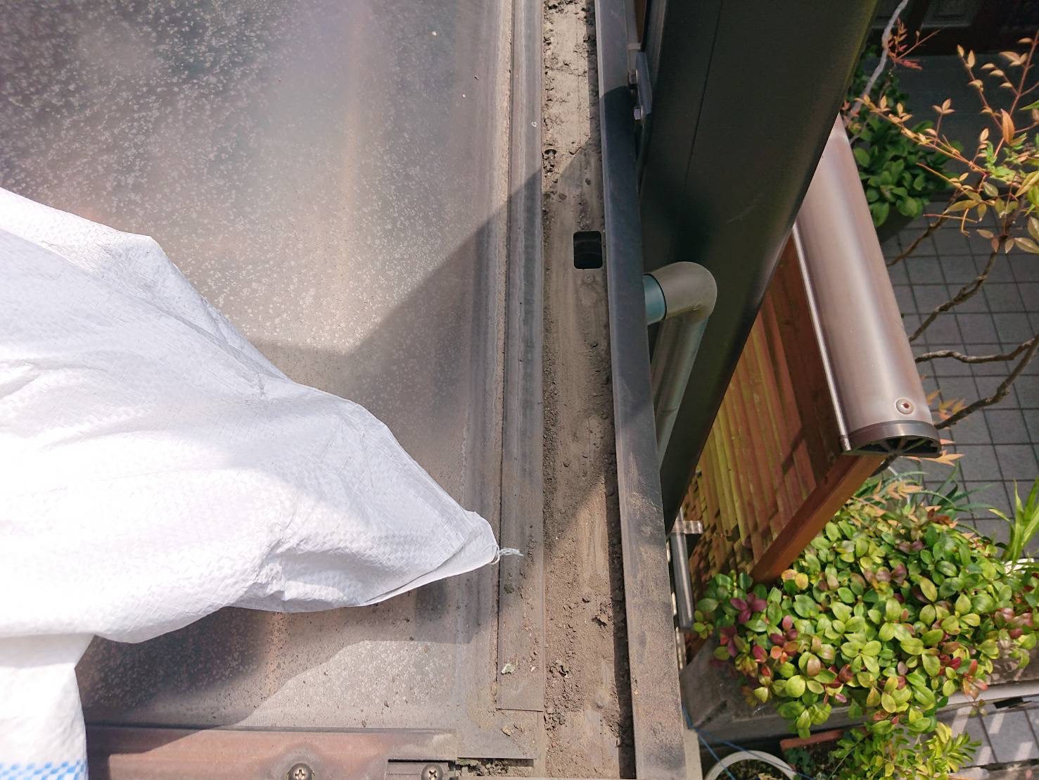 カーポートとい掃除 