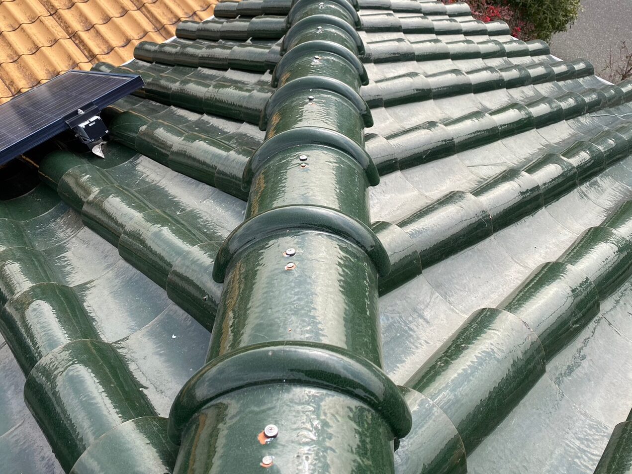 屋根補修工事(大屋根) 