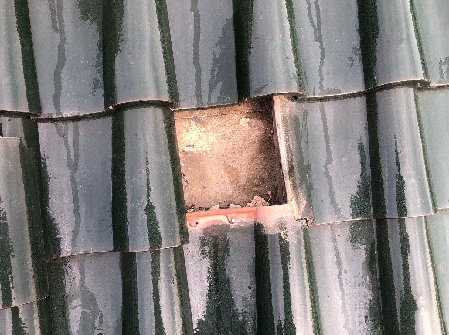 屋根補修工事(大屋根) 