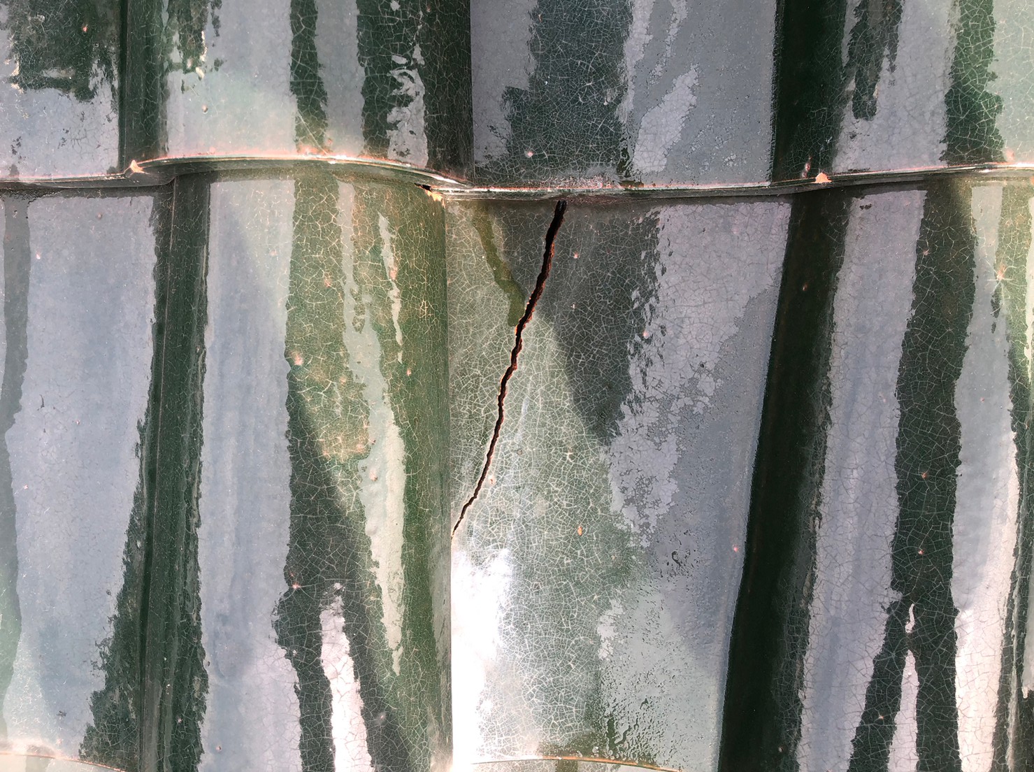 屋根補修工事(大屋根) 