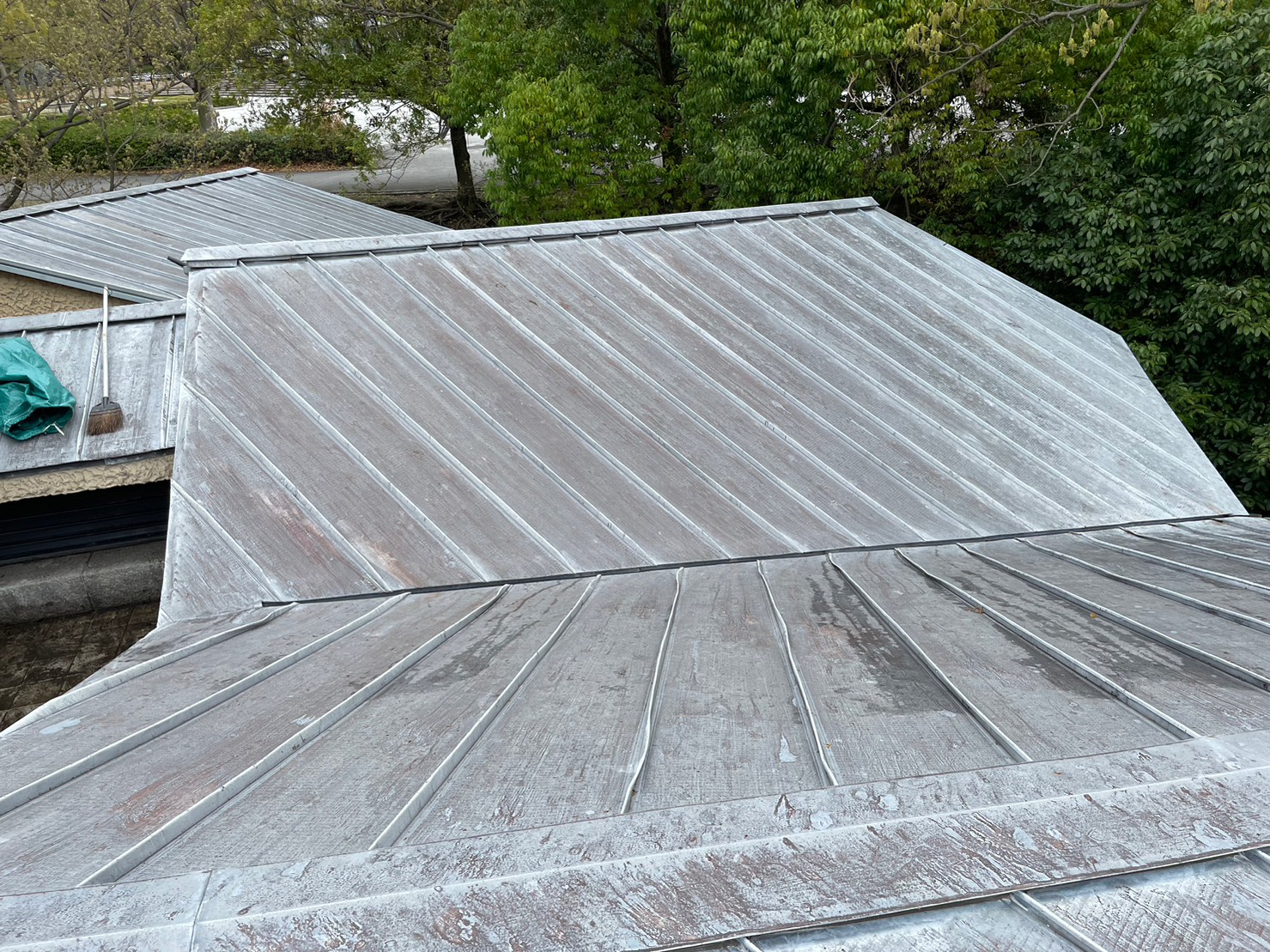 屋根及び雨とい掃除 