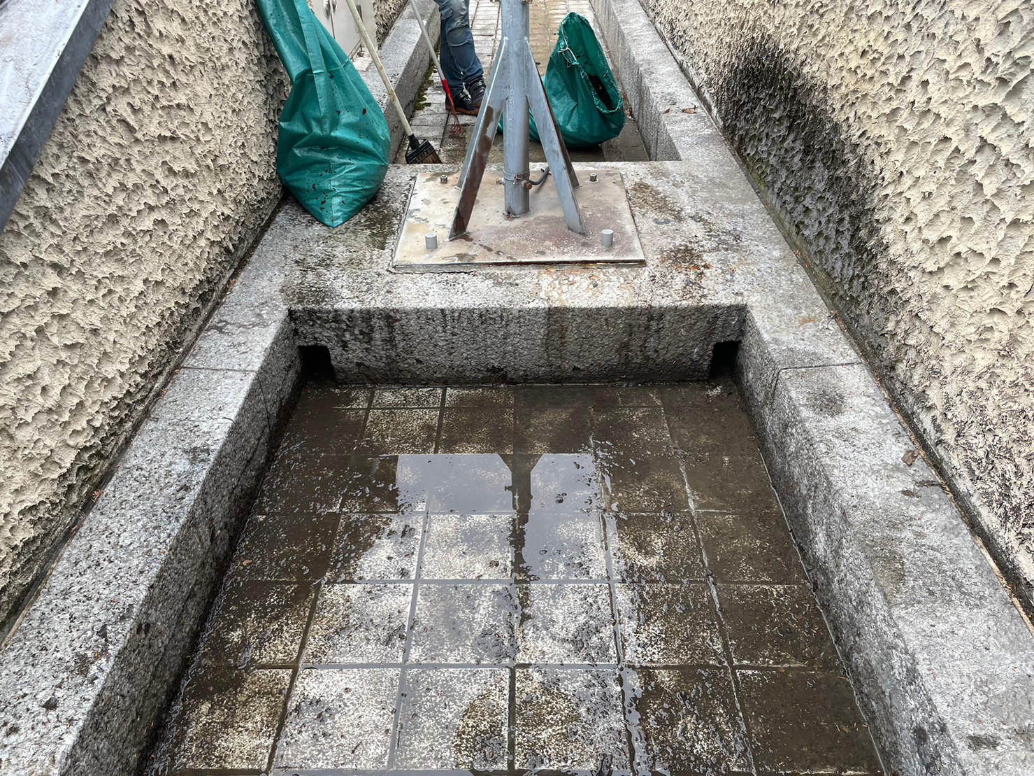 屋根及び雨とい掃除 