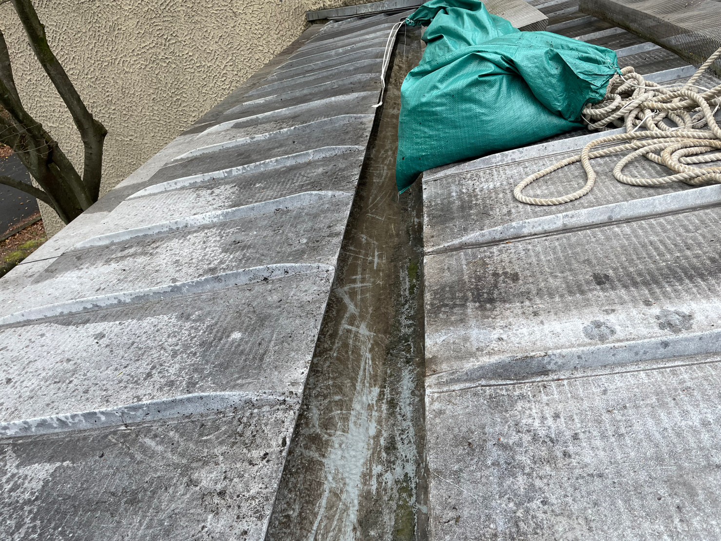 屋根及び雨とい掃除 