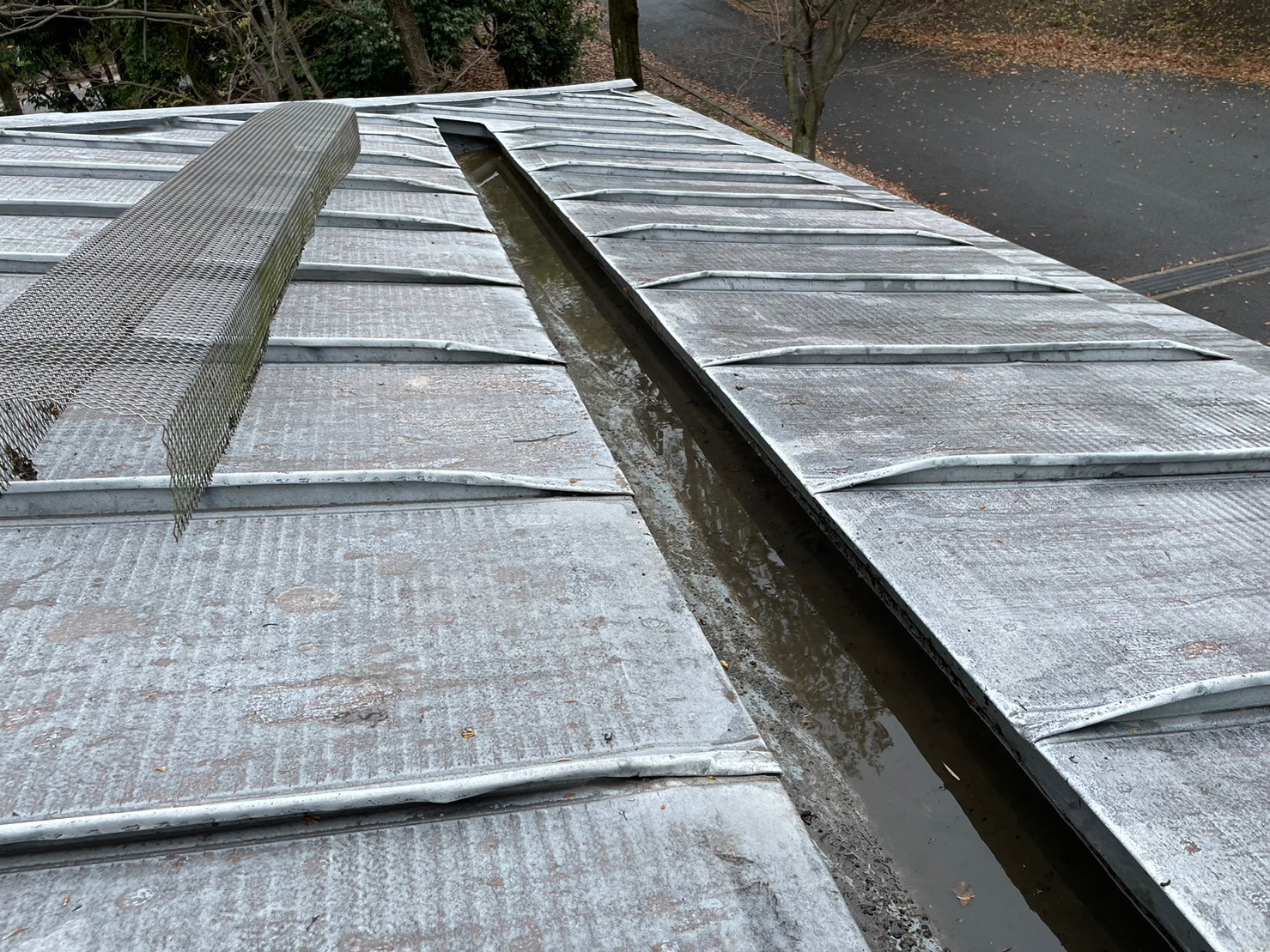 屋根及び雨とい掃除 
