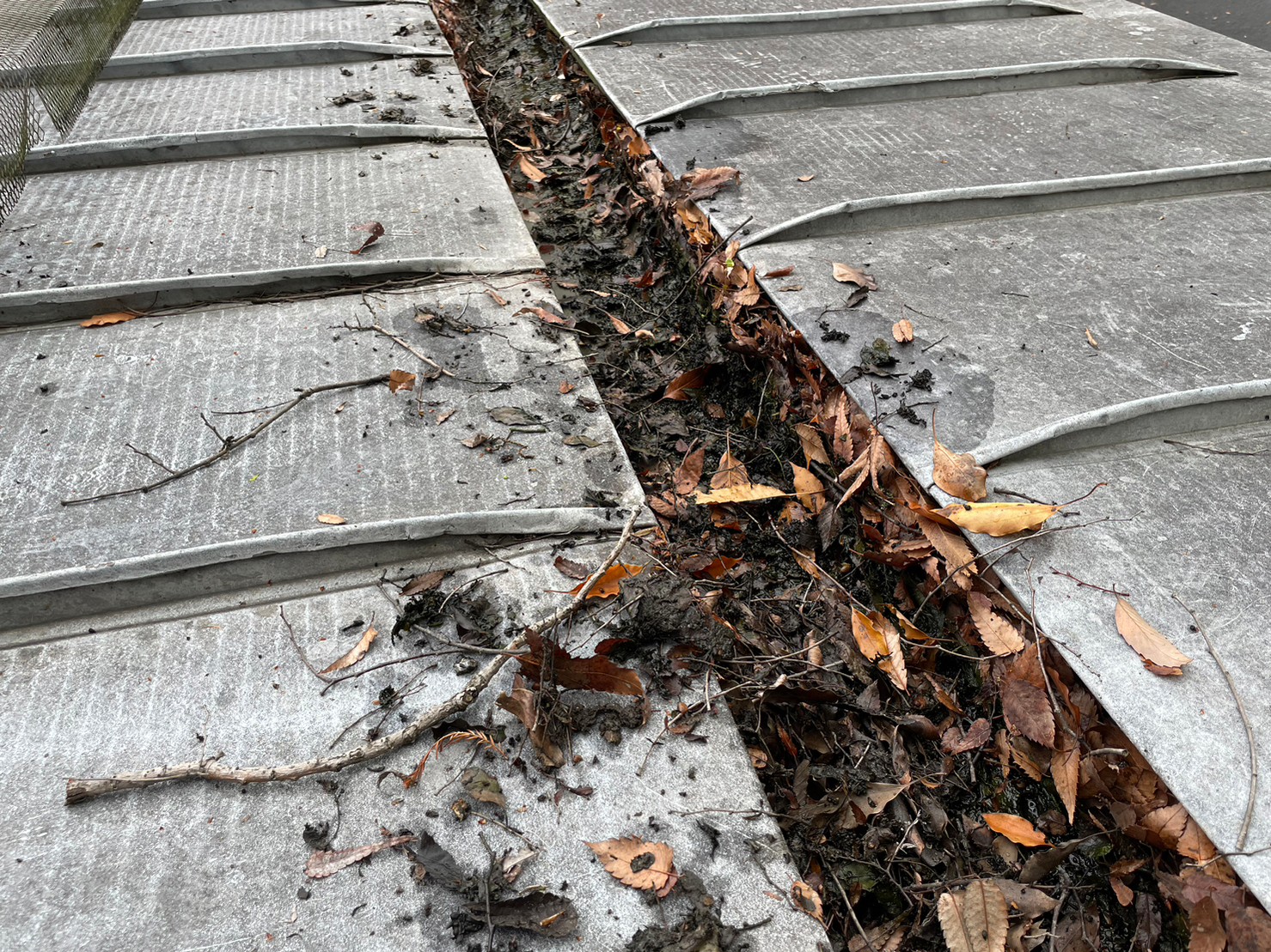 屋根及び雨とい掃除 