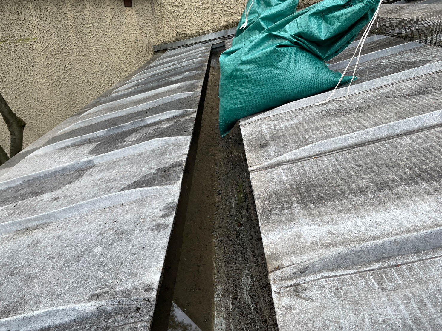 屋根及び雨とい掃除 