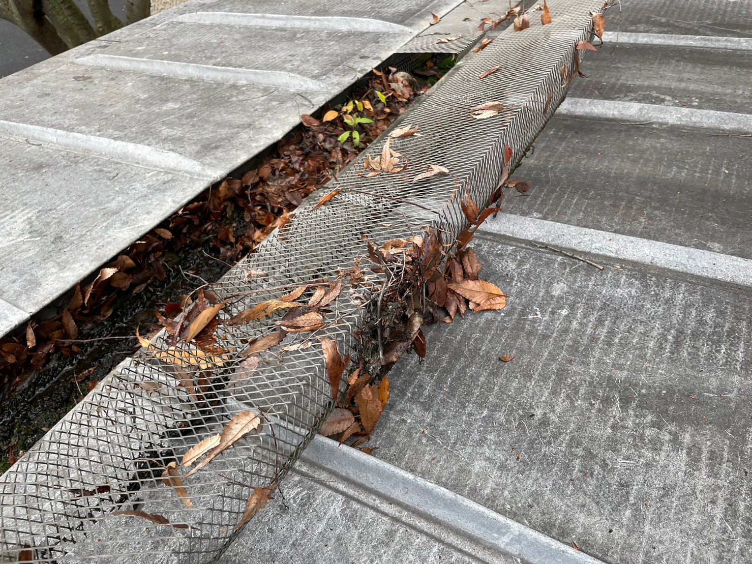 屋根及び雨とい掃除 