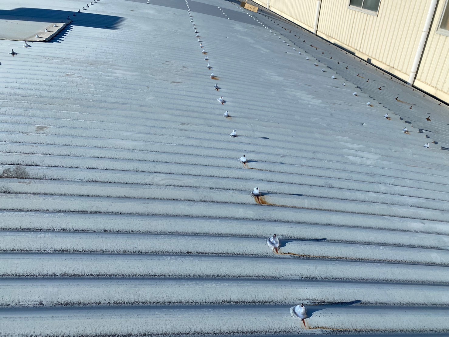 工場上修理工事 