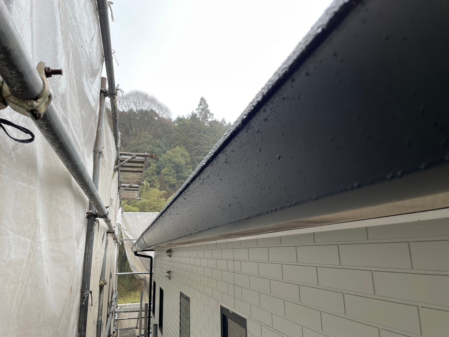 足場解体前確認 