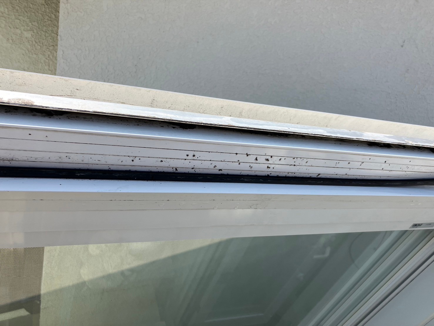 ポリカ張り替え工事 