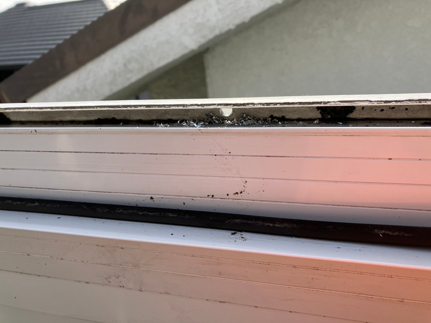 ポリカ張り替え工事 