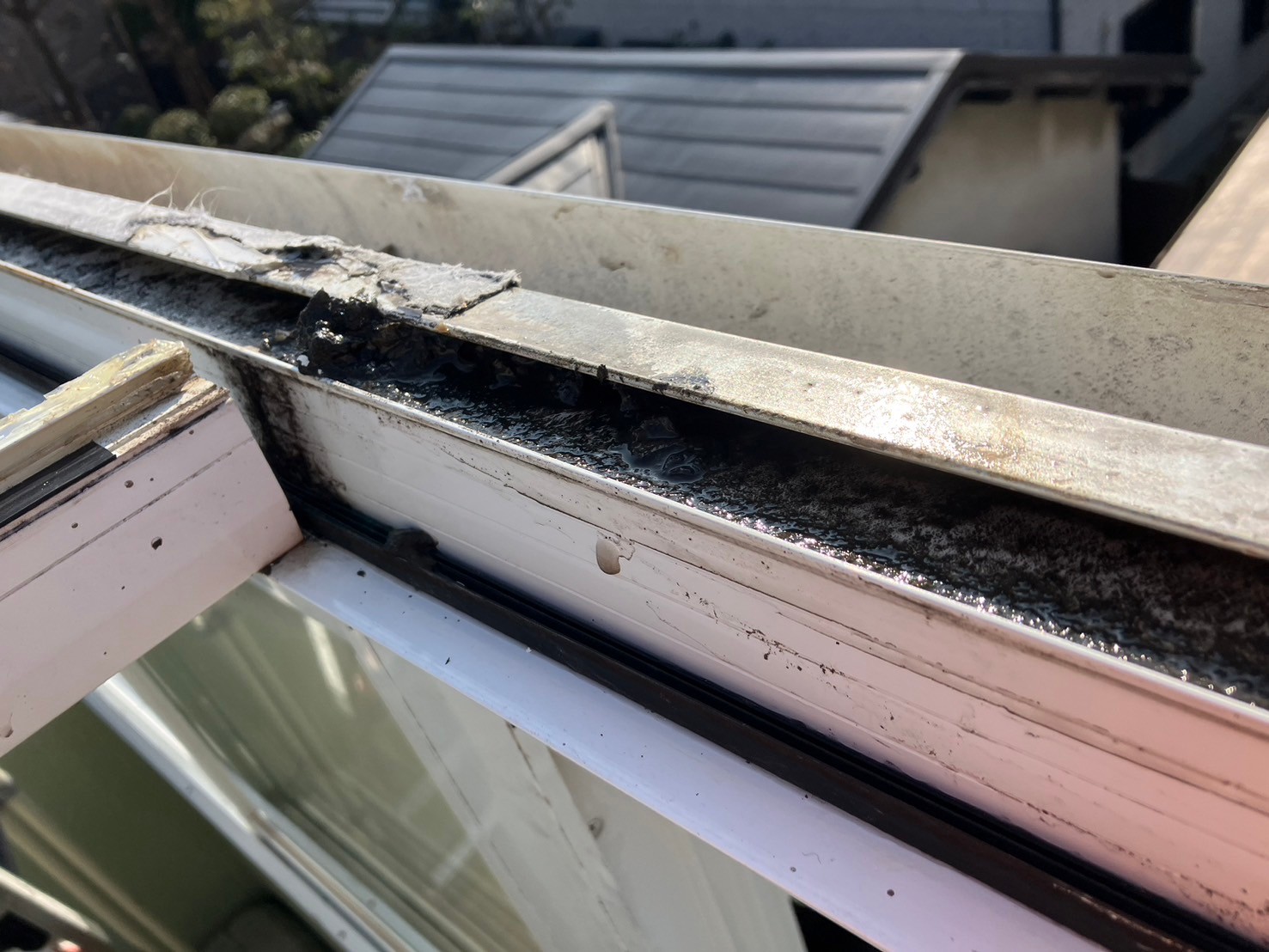 ポリカ張り替え工事 