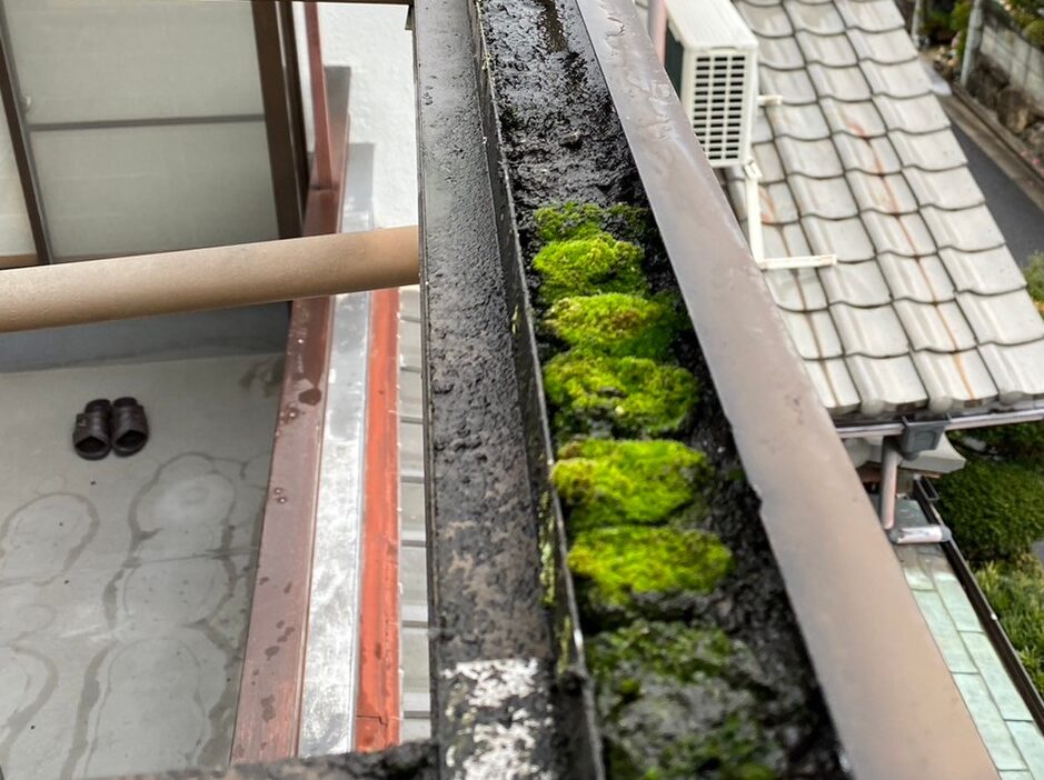 ポリカ張り替え工事 