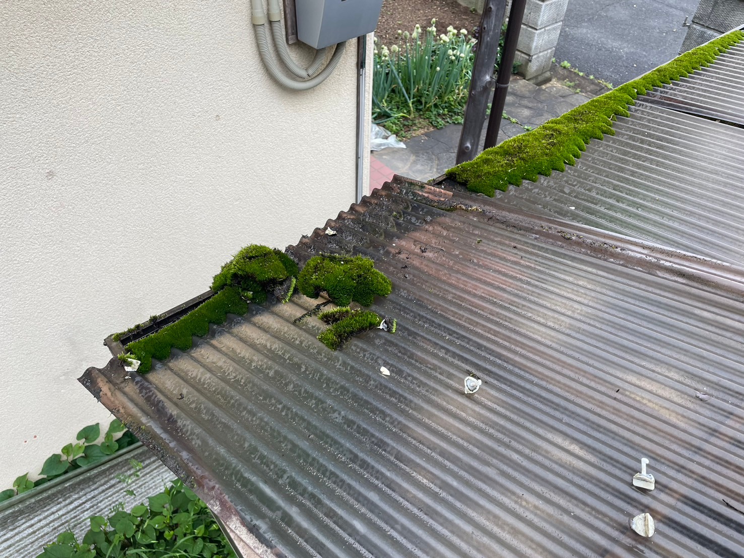 ポリカ張り替え工事