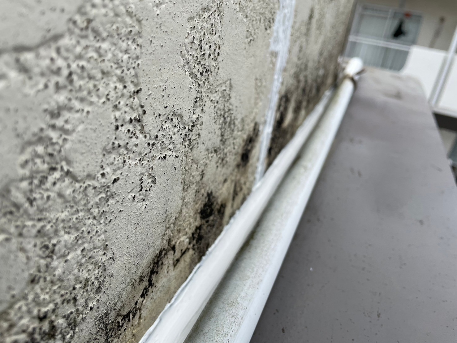 雨漏り修理工事 