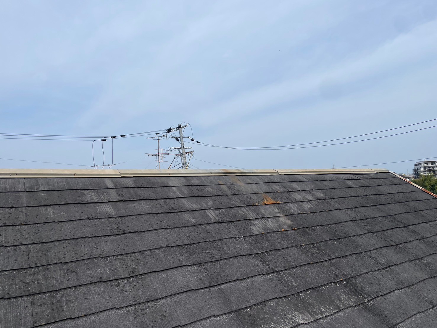 屋根カバー工事(大屋根)