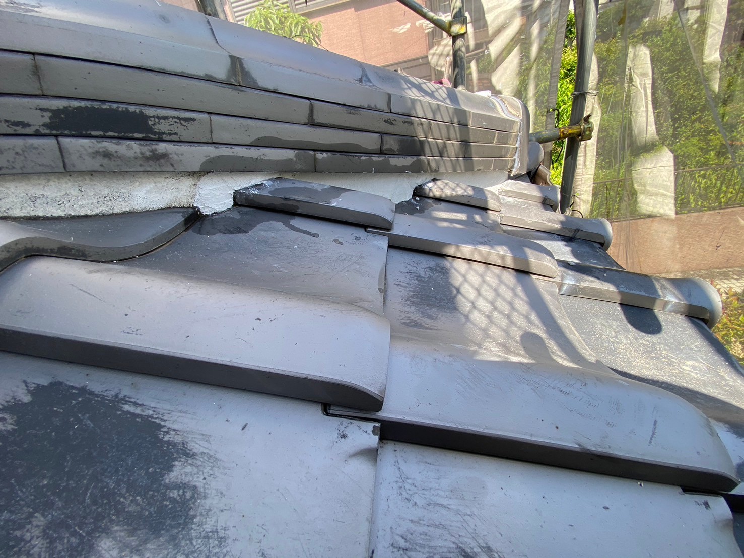 漆喰工事（下屋）