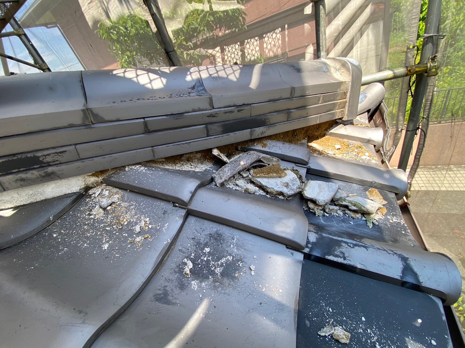 漆喰工事（下屋）